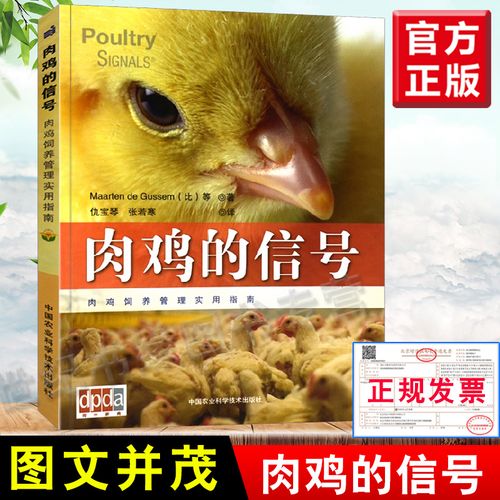 现货 肉鸡的信号 马尔滕 鸡病预防与防治图书科学养鸡技术图书籍鸡饲